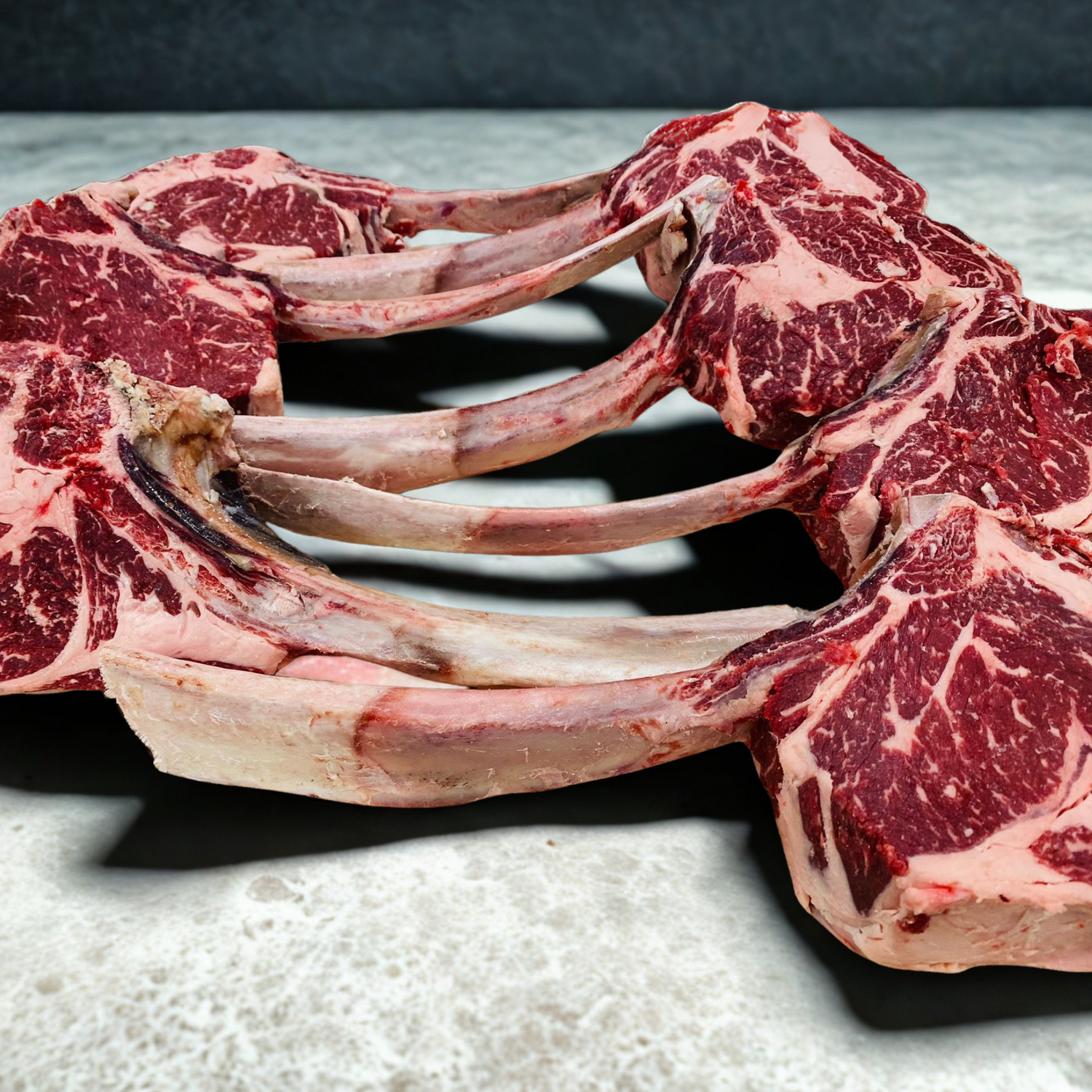 CARNES EXÓTICAS DEL MUNDO