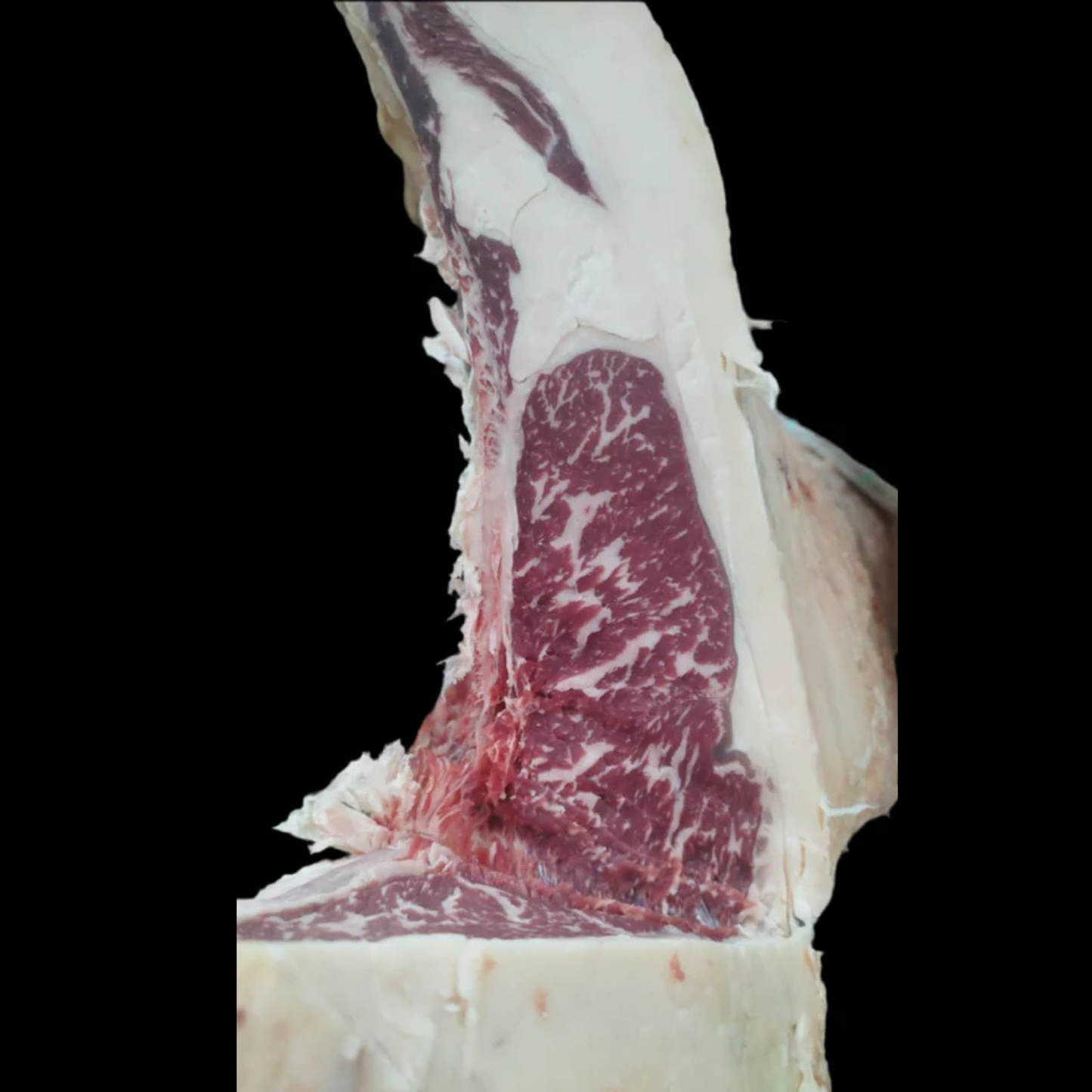 CHULETA VACA SIMENTAL