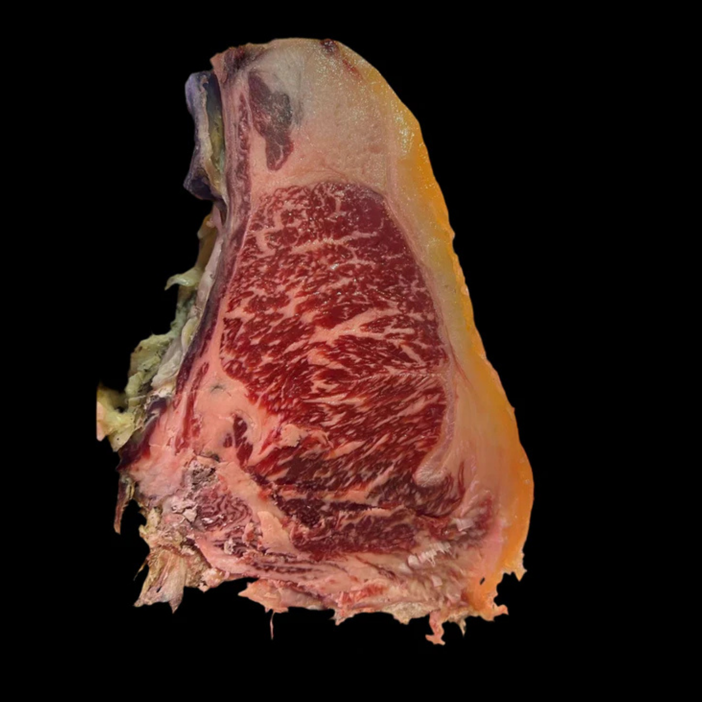 CHULETA VACA  PREMIUM BEEF
