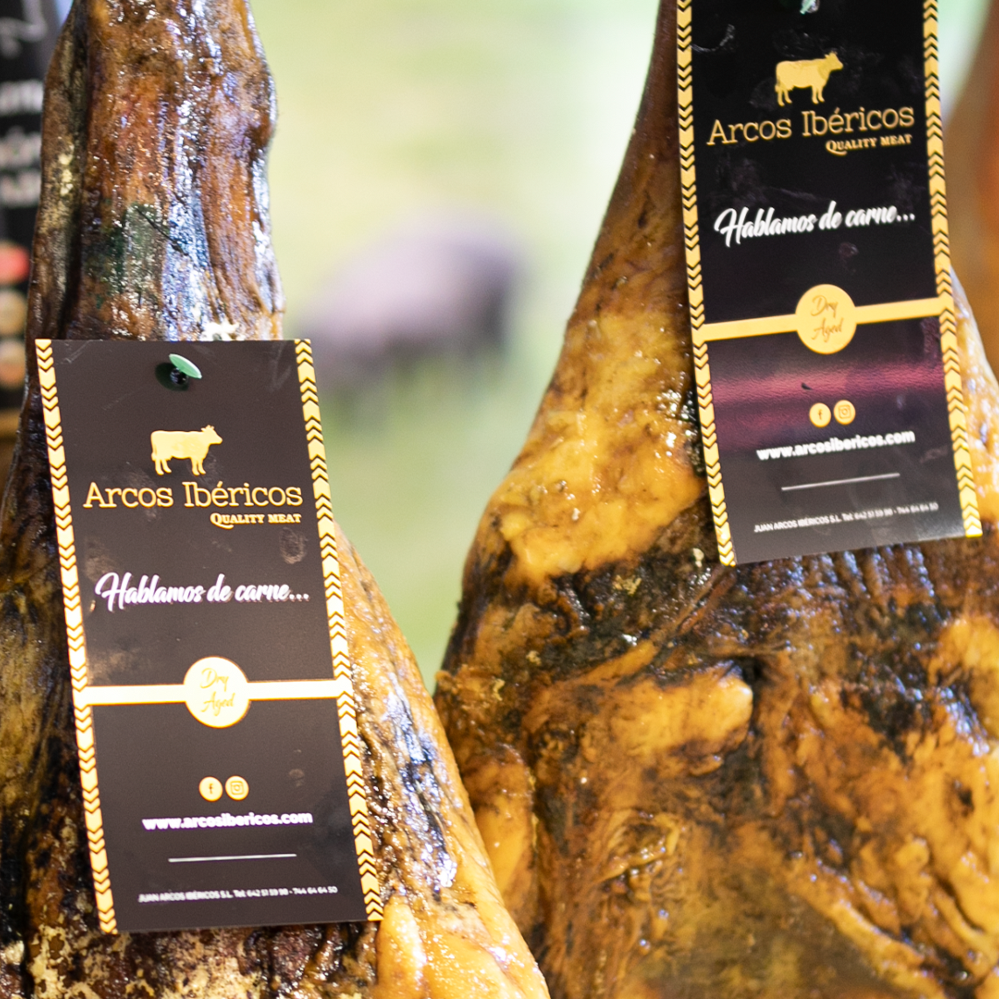 PALETA FUERA DE NORMA SELECCIÓN ARCOS IBÉRICOS