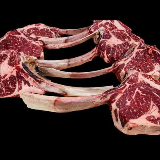 TOMAHAWK MINHOTA PORTUGAL